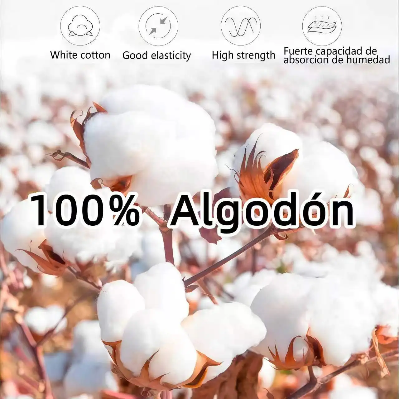 Heavy Cotton Senior 2027 Gradu - Embroidery Gift Ideas ulasan dan harga